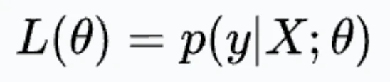 ds p216 1