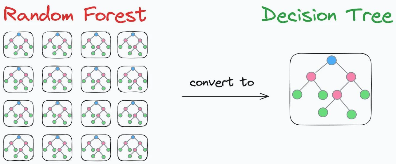 ds p249 1