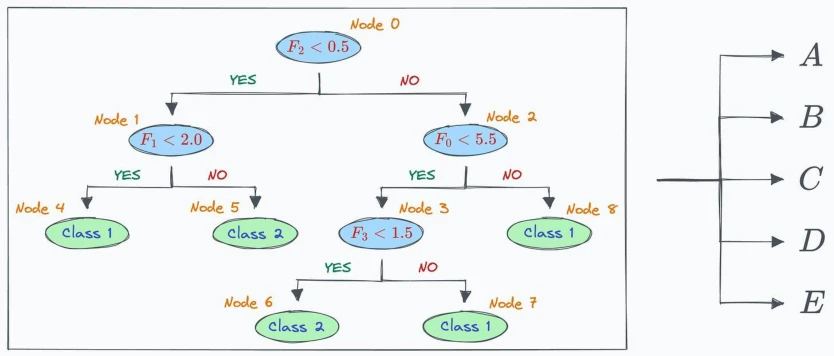 ds p256 2