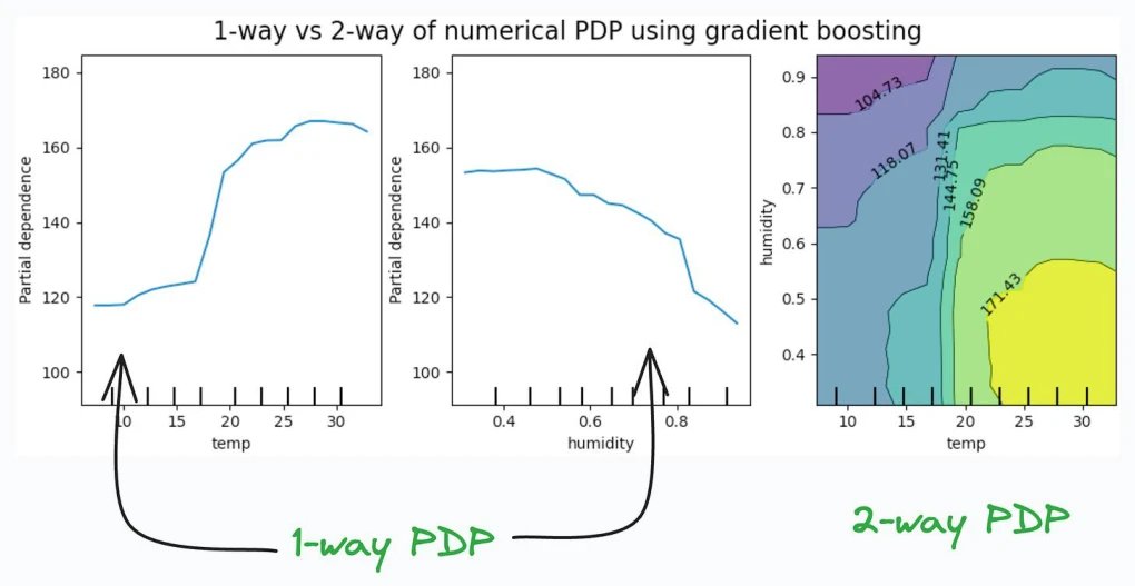 ds p443 1