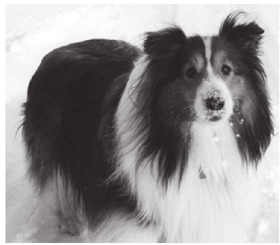 image01058